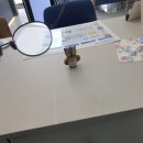 부엉이 안경콘텍트 이미지