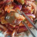 문어책방