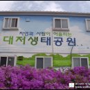 세모시 이미지