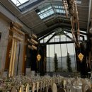 북구미IC엘피지충전소 | 💍W01. 구미 델루시아 웨딩 씨엘로홀 계약