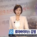 바이러스 이미지