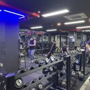 브레이브힐 이미지