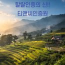 티앤씨인증원 네이버블로그