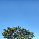 구월농장 이미지