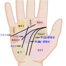 [손금(수상학) 활력과 건강, 장수(長壽)의 상징, 이중생명선 (feat. 프란치스코 교황님, 블랙핑크 제니 손금) 이미지