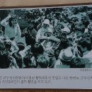 서구-01-30 이미지