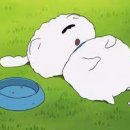 경기도 수원시 장안구 창훈로 이미지