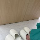 널그리고 | 수술실 간호사 간호화 추천 널핏 널스텝 뮬 착용 후기 사이즈