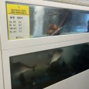 김태공횟집 이미지