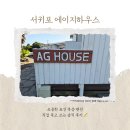 여행 일지) 🏠 서귀포 에이지하우스펜션 솔직 후기 | 복층 + 정원 + 가성비 다 잡은 표선 펜션 추천!