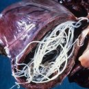 체질건강약국 이미지