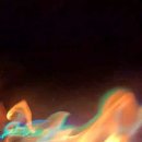 소나무숲아래 이미지