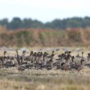 서산버드랜드 전시관(1층) 이미지
