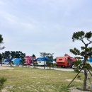강동오토캠핑장 | 울산 강동 오토캠핑장 카라반 이용 후기