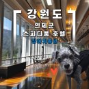 인제스피디움 주유소 | 강원도 인제군 강아지동반 인제 스피디움 호텔 카페 후기(Feat, 인제군 슈퍼차저)