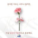 비젼태권도 이미지