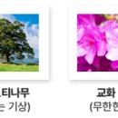 전주교육대학교전주부설초등학교 이미지