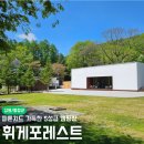 휘게 | 캠린이의 평창 휘게포레스트 캠핑후기
