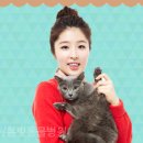 봄빛동물병원 이미지