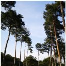 (주)그늘집 스크린 골프 이미지