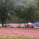 메밀정원 - 북구 일곡마을로 173-1 | 메밀정원
