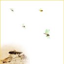 수원 74 수원일보
