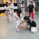 최강하늘태권도 이미지