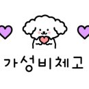광릉찐빵만두 네이버블로그