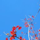 문화광장(공원) 이미지