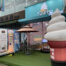 유기농우유로 만든 아이스크림 맛집 관저동 카페 소프티