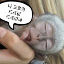 오색빛 구름 이미지