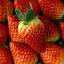 딸기 이미지