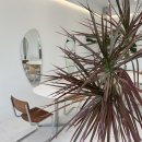 오후애월 이미지