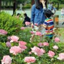 선돌 식육식당 이미지