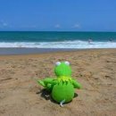 연천비경펜션 이미지