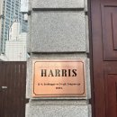 이촌바 | [용산, 이촌] 분위기 좋은 와인바 해리스 (HARRIS) 후기