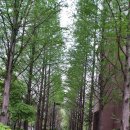 한가람아파트경로당 이미지