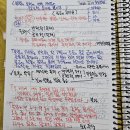 초심미트 이미지