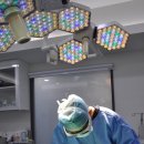 용산동물의료센터 이미지