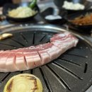 꽃돼지갈매기 네이버블로그