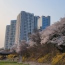 리케어랩