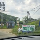 낚시터가든 | 장자원 낚시터(손맛터) 다녀온 후기