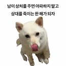 심춘옥청국장&강릉주막 | 《Daily》 훌쩍 지나가버린 날들
