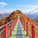 "기둥 하나 없이 100m를 공중에 띄웠다니"… 지상 47m 산봉우리 트레킹 명소 이미지