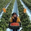 양영석농장 이미지