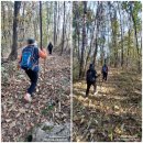 인제농협 서화지점 | &#39;25결혼기념여행-양·춘·화2일차:③펀치볼 트레킹