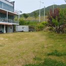 가덕도청솔식당 네이버블로그