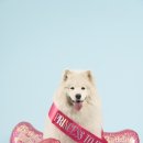 베네핏스튜디오 이미지