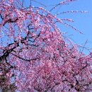 거대한우농장 이미지