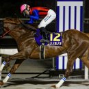 스테이어 이미지